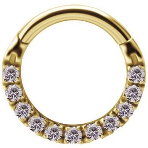 Argolla septum y daith oro 18K con 11 circones premium clicker 8mm