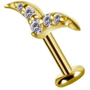 Labret titanio dorado con oro 18k diseño gaviota con circones para helix piercing elegante chile